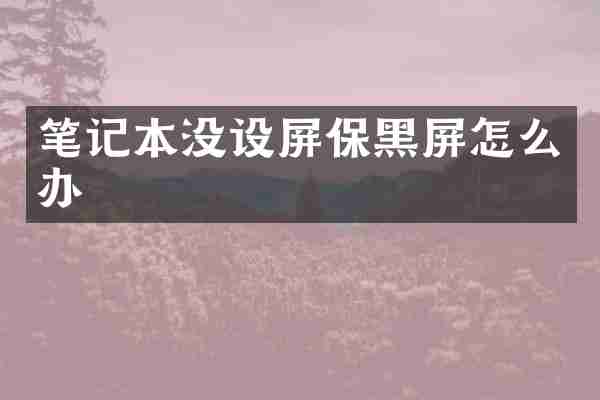 笔记本没设屏保黑屏怎么办