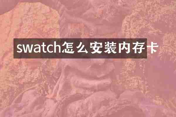 swatch怎么安装内存卡