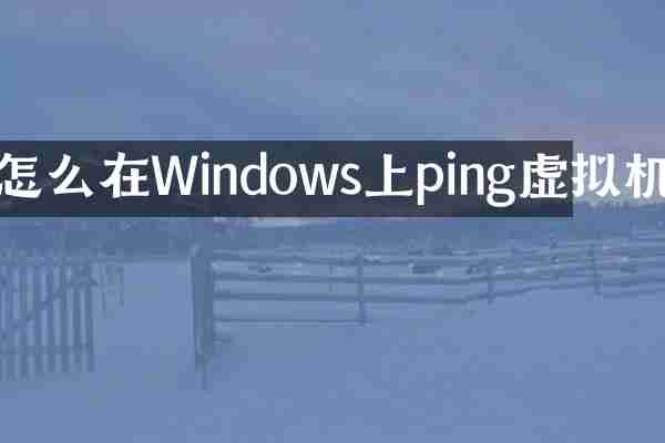 怎么在Windows上ping虚拟机