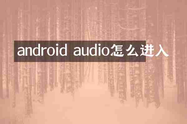 android audio怎么进入