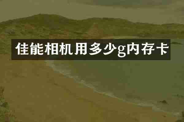 佳能相机用多少g内存卡
