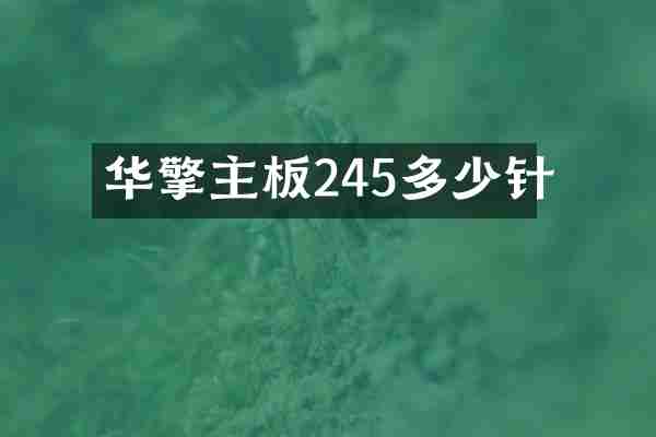华擎主板245多少针