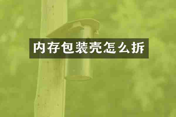 内存包装壳怎么拆