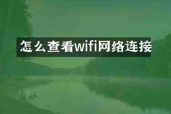 怎么查看wifi网络连接