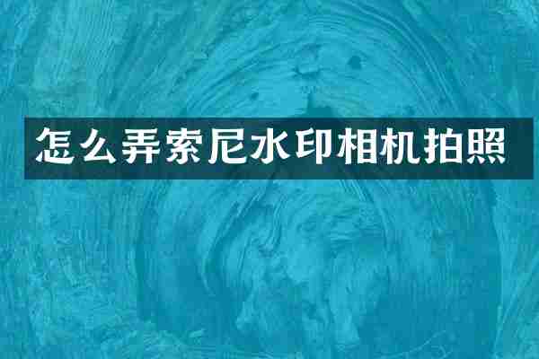 怎么弄索尼水印相机拍照