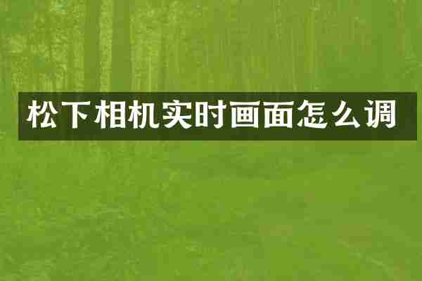 松下相机实时画面怎么调