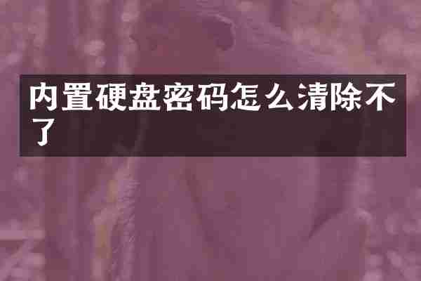 内置硬盘密码怎么清除不了