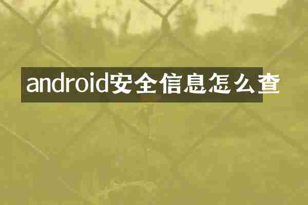 android安全信息怎么查