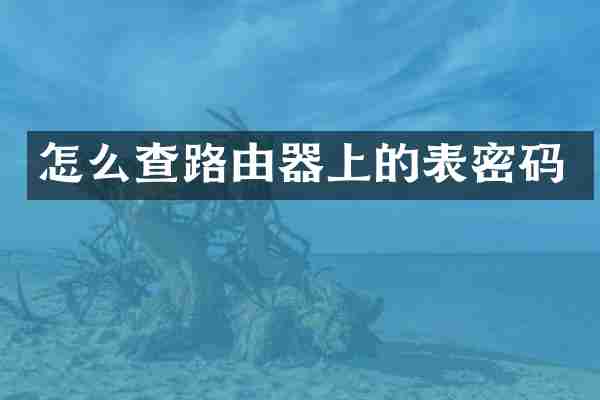 怎么查路由器上的表密码