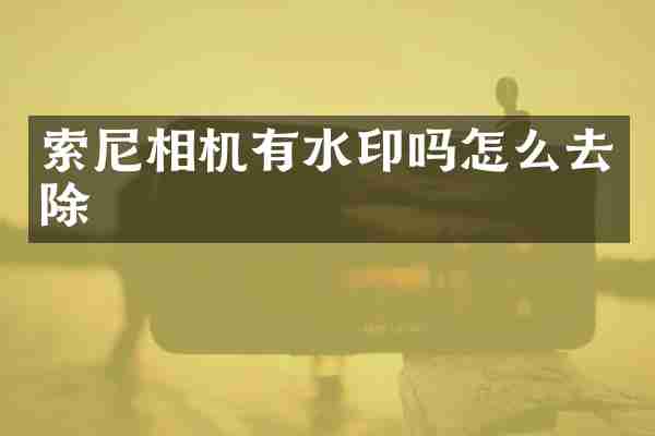 索尼相机有水印吗怎么去除