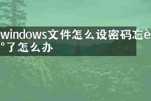 windows文件怎么设密码忘记了怎么办