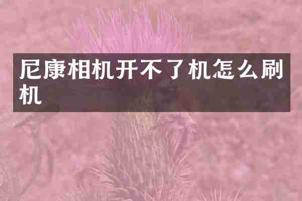 尼康相机开不了机怎么刷机