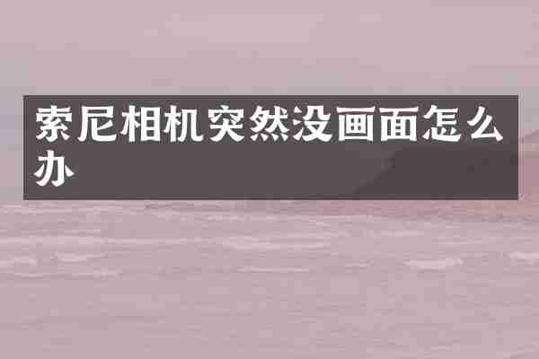 索尼相机突然没画面怎么办