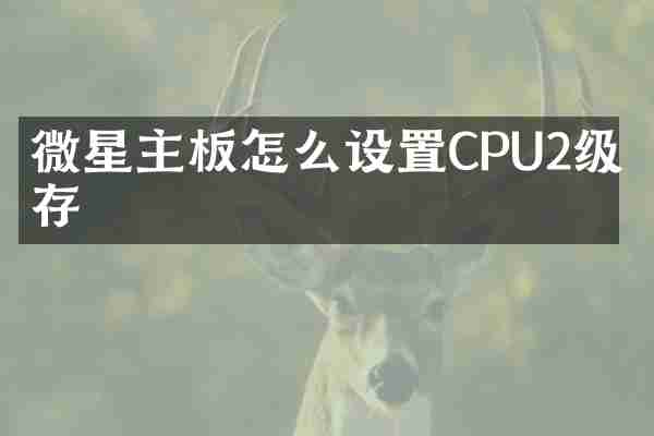 微星主板怎么设置CPU2级缓存