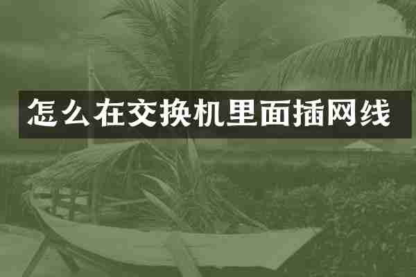 怎么在交换机里面插网线