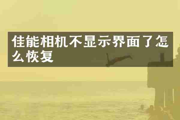 佳能相机不显示界面了怎么恢复