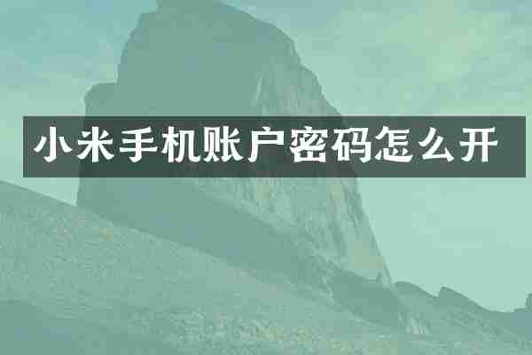小米手机账户密码怎么开