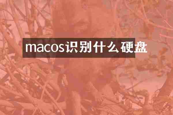 macos识别什么硬盘
