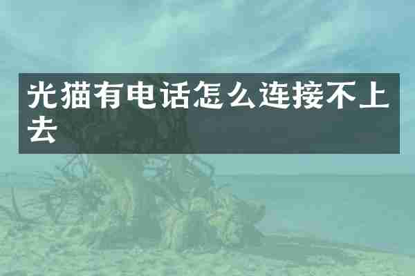 光猫有电话怎么连接不上去