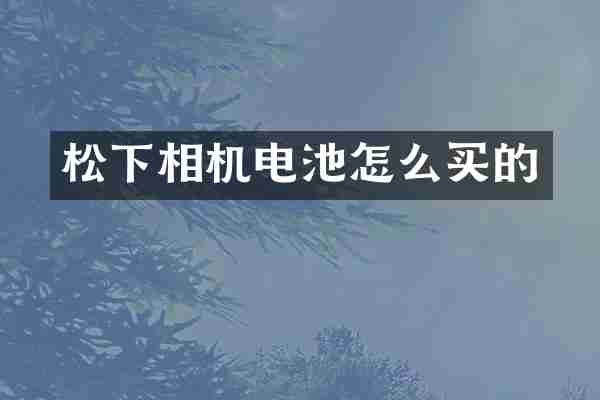 松下相机电池怎么买的