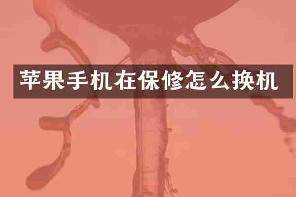 苹果手机在保修怎么换机