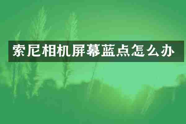 索尼相机屏幕蓝点怎么办