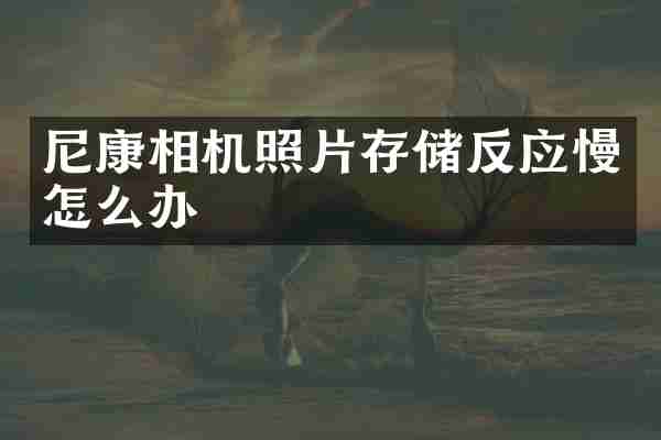 尼康相机照片存储反应慢怎么办