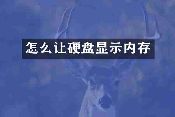 怎么让硬盘显示内存