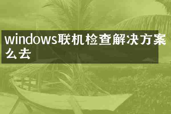 windows联机检查解决方案怎么去