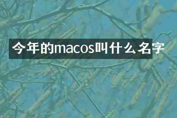 今年的macos叫什么名字