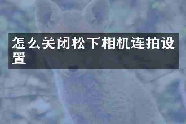 怎么关闭松下相机连拍设置