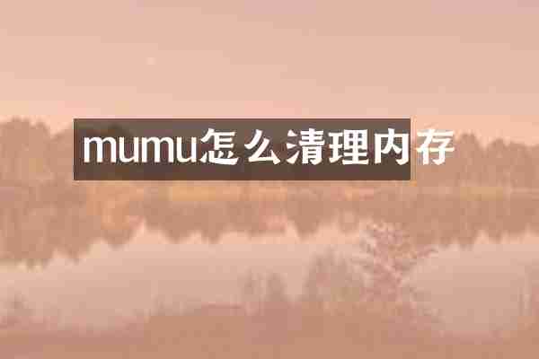 mumu怎么清理内存