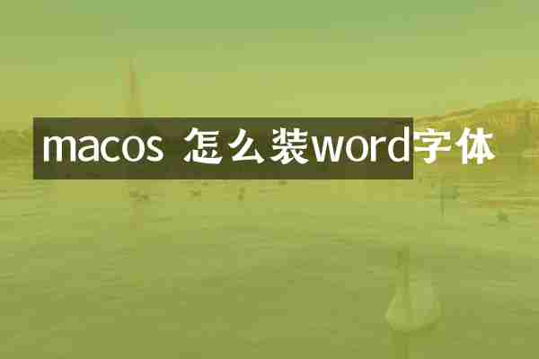 macos 怎么装word字体