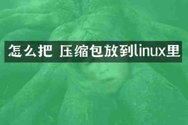 怎么把 压缩包放到linux里
