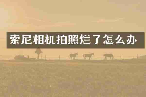 索尼相机拍照烂了怎么办