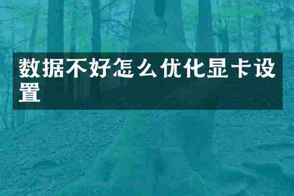 数据不好怎么优化显卡设置