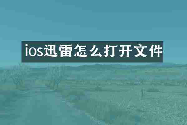 ios迅雷怎么打开文件