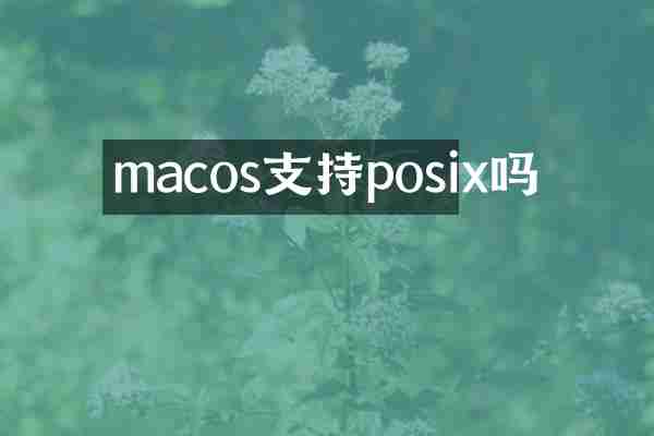 macos支持posix吗