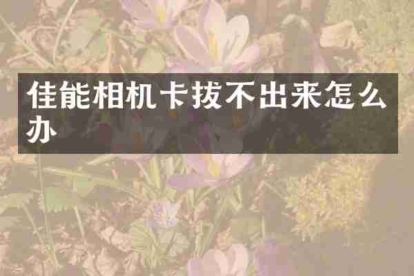 佳能相机卡拔不出来怎么办