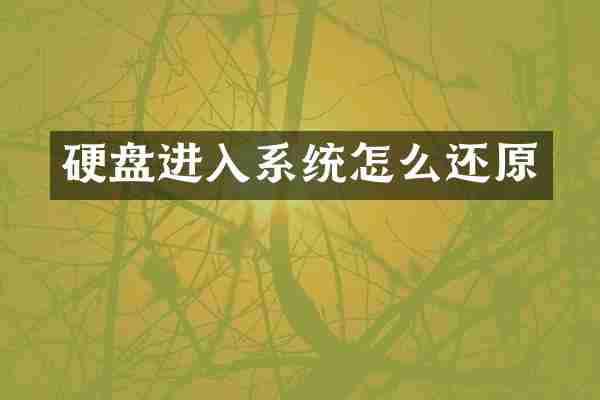 硬盘进入系统怎么还原