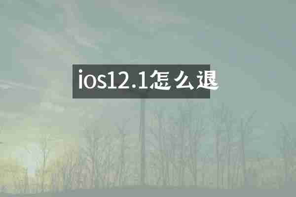 ios12.1怎么退