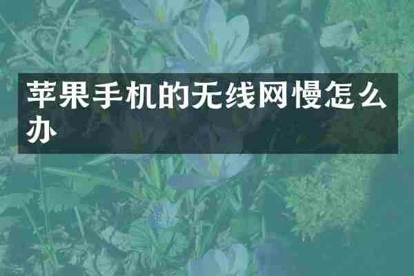 苹果手机的无线网慢怎么办