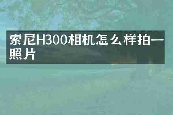 索尼H300相机怎么样拍一寸照片