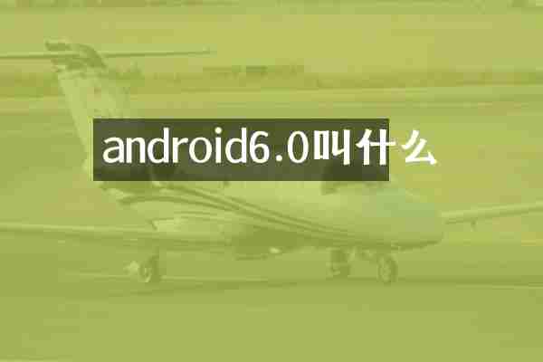 android6.0叫什么
