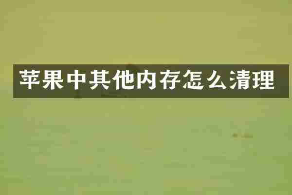 苹果中其他内存怎么清理
