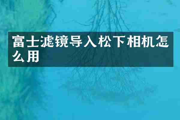 富士滤镜导入相机怎么用