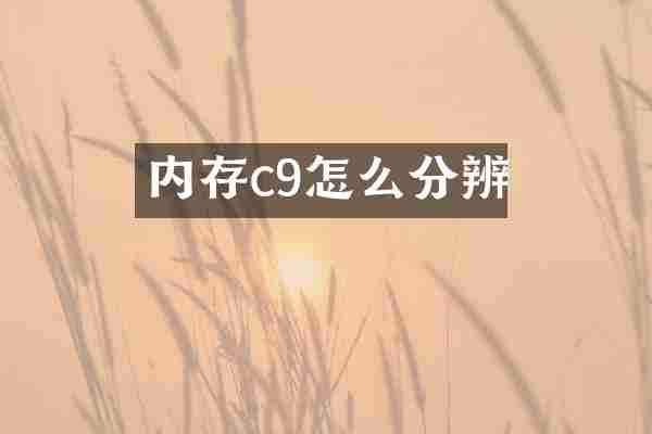 内存c9怎么分辨