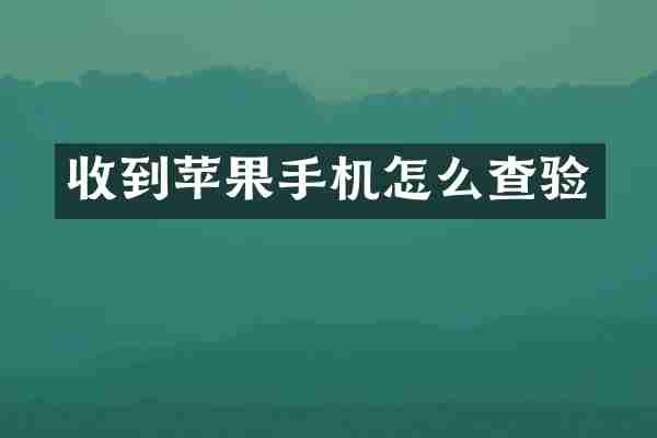 收到苹果手机怎么查验