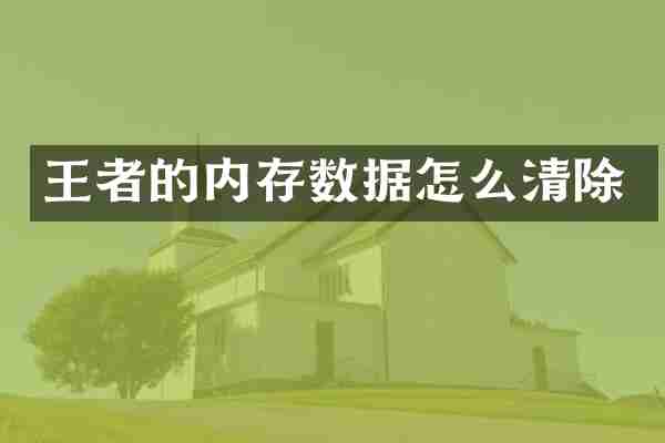 王者的内存数据怎么清除