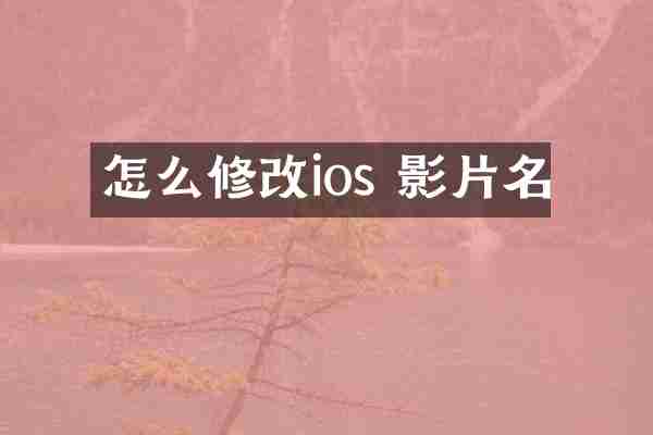 怎么修改ios 影片名